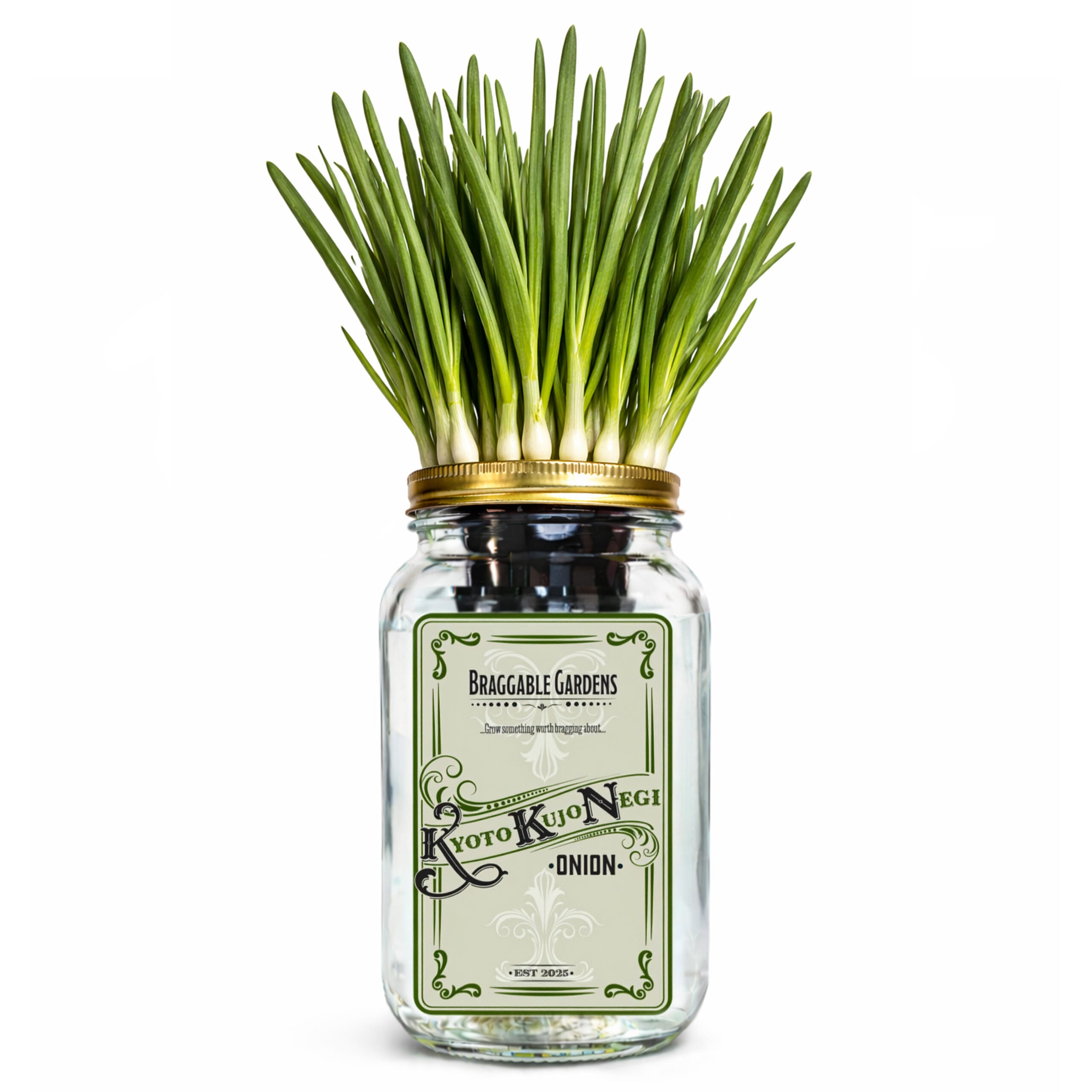 Kyoto Kujo Negi Japanese Green Onion Indoor Garden Kit image 0