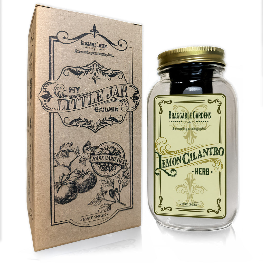 Lemon Cilantro Indoor Herb Garden Kit image 2