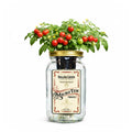Micro Tim Cherry Tomato Indoor Garden Kit image 0