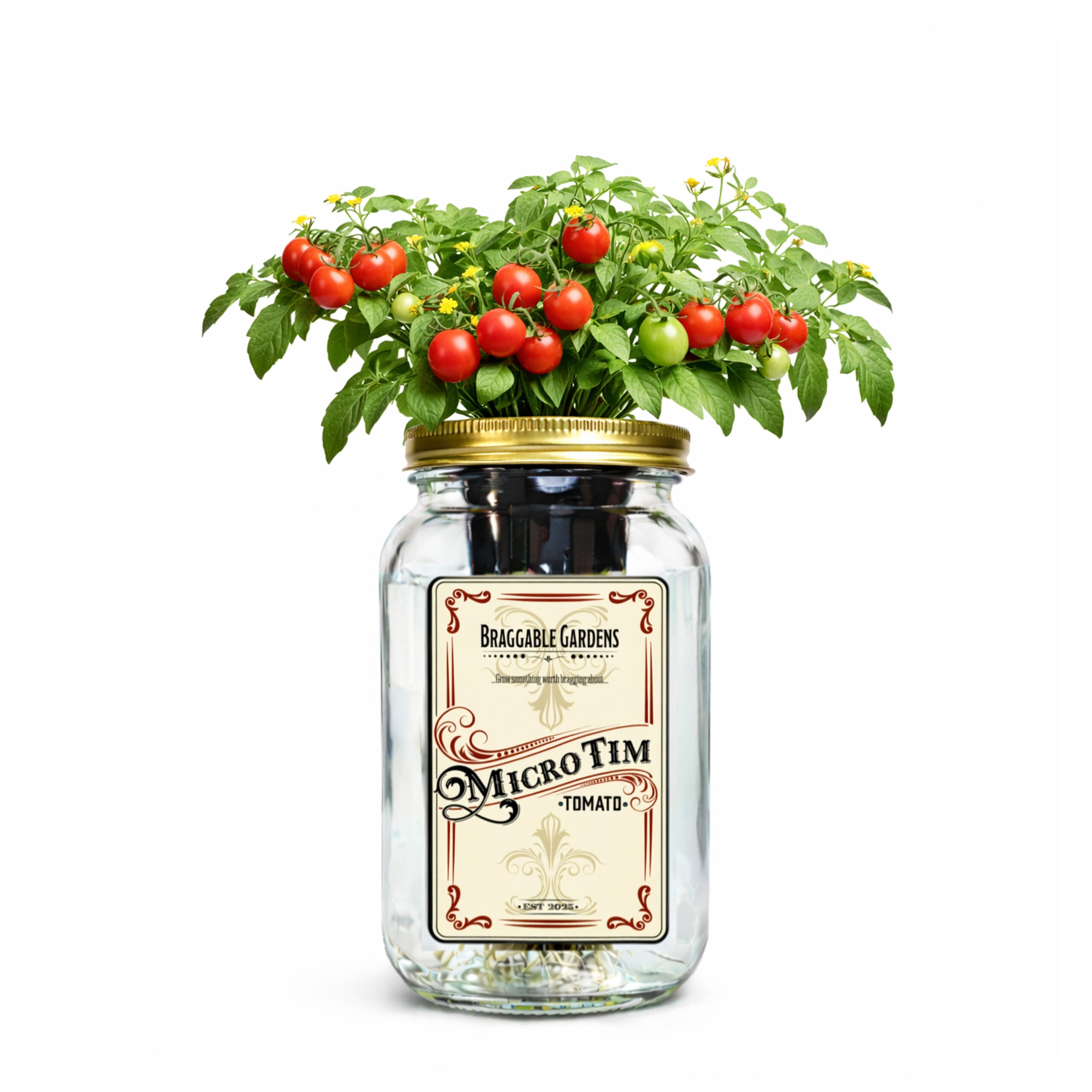 Micro Tim Cherry Tomato Indoor Garden Kit image 0