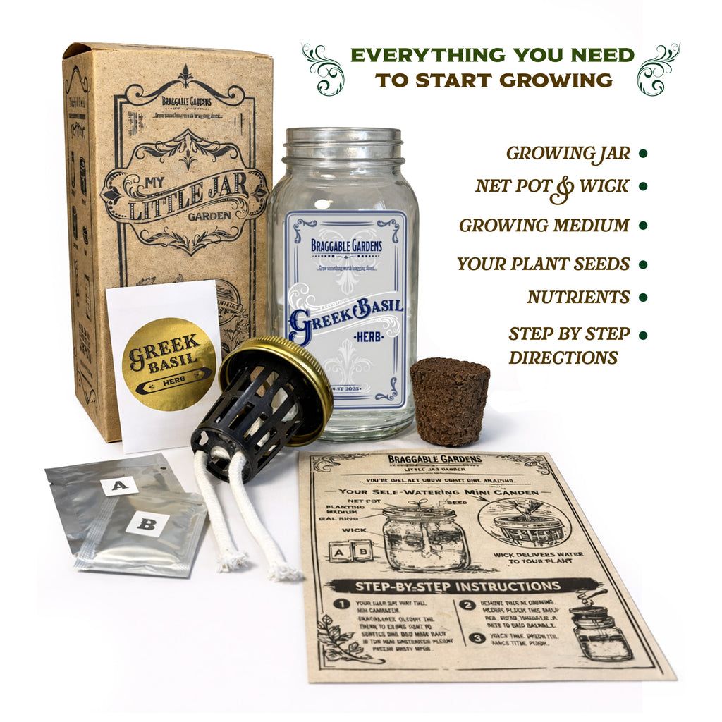 Greek Basil Indoor Herb Garden Kit image 3