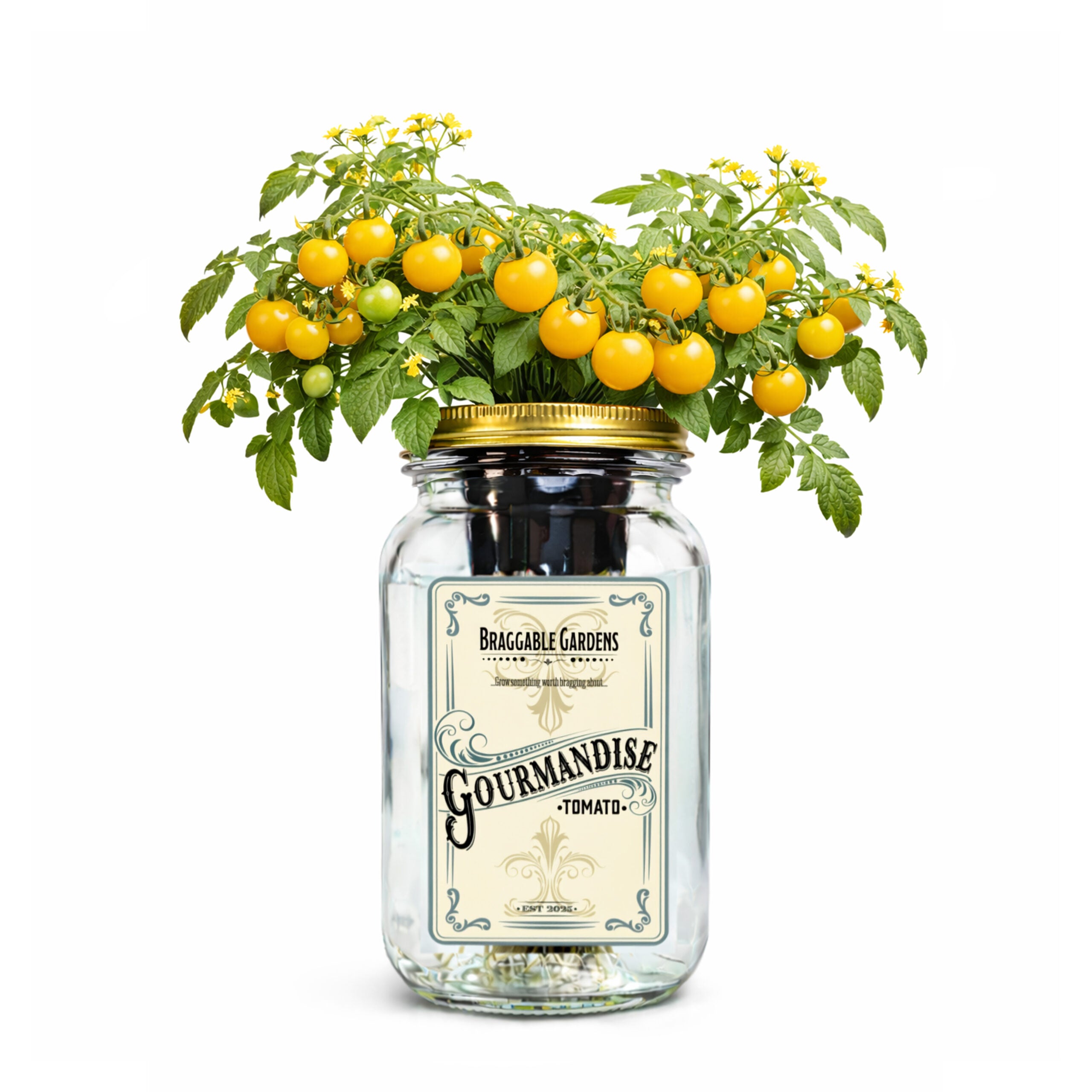 Gourmandise Yellow Cherry Tomato Indoor Garden Kit image 0