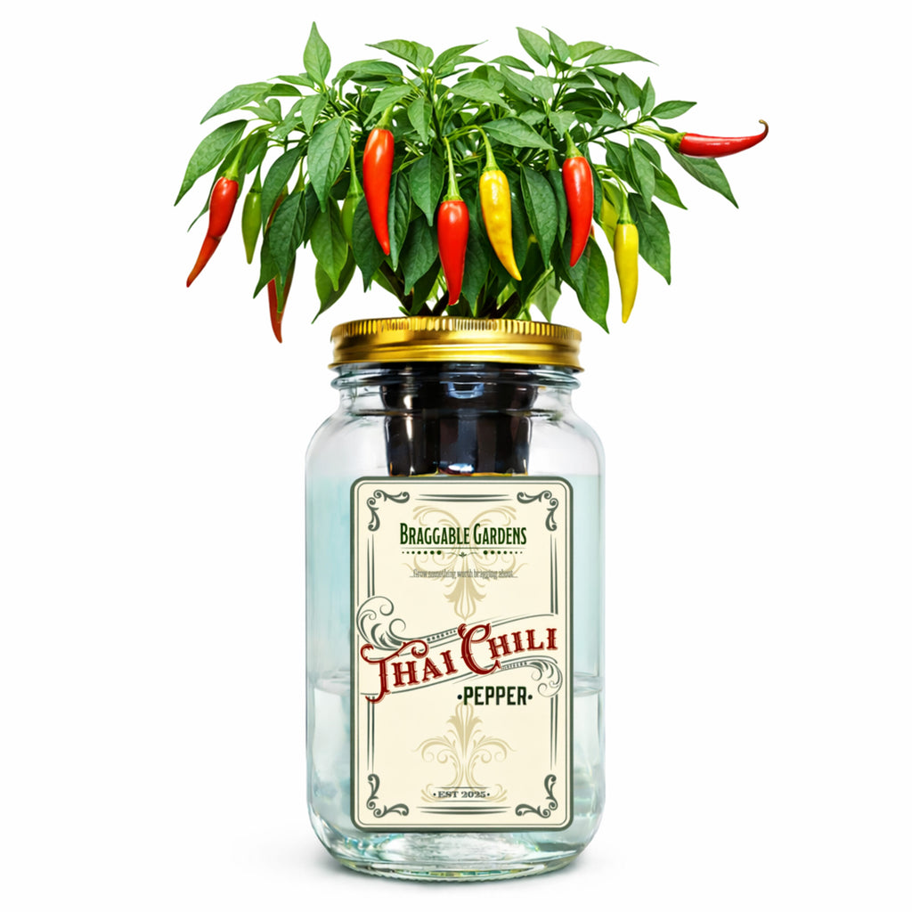 Thai Chili Pepper Grow Kit image 0