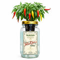 Thai Chili Pepper Grow Kit image 0