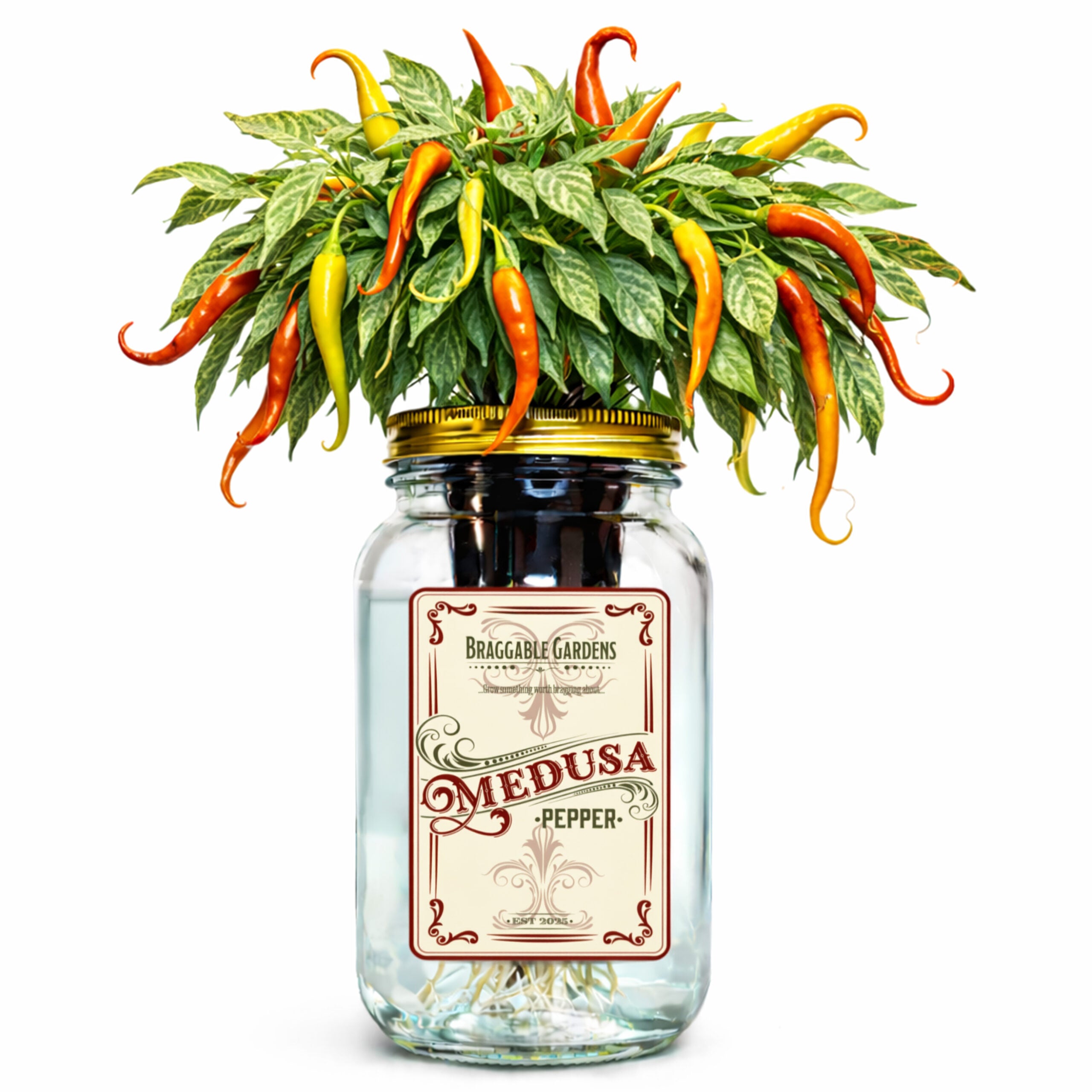 Medusa Pepper Indoor Garden Kit image 0