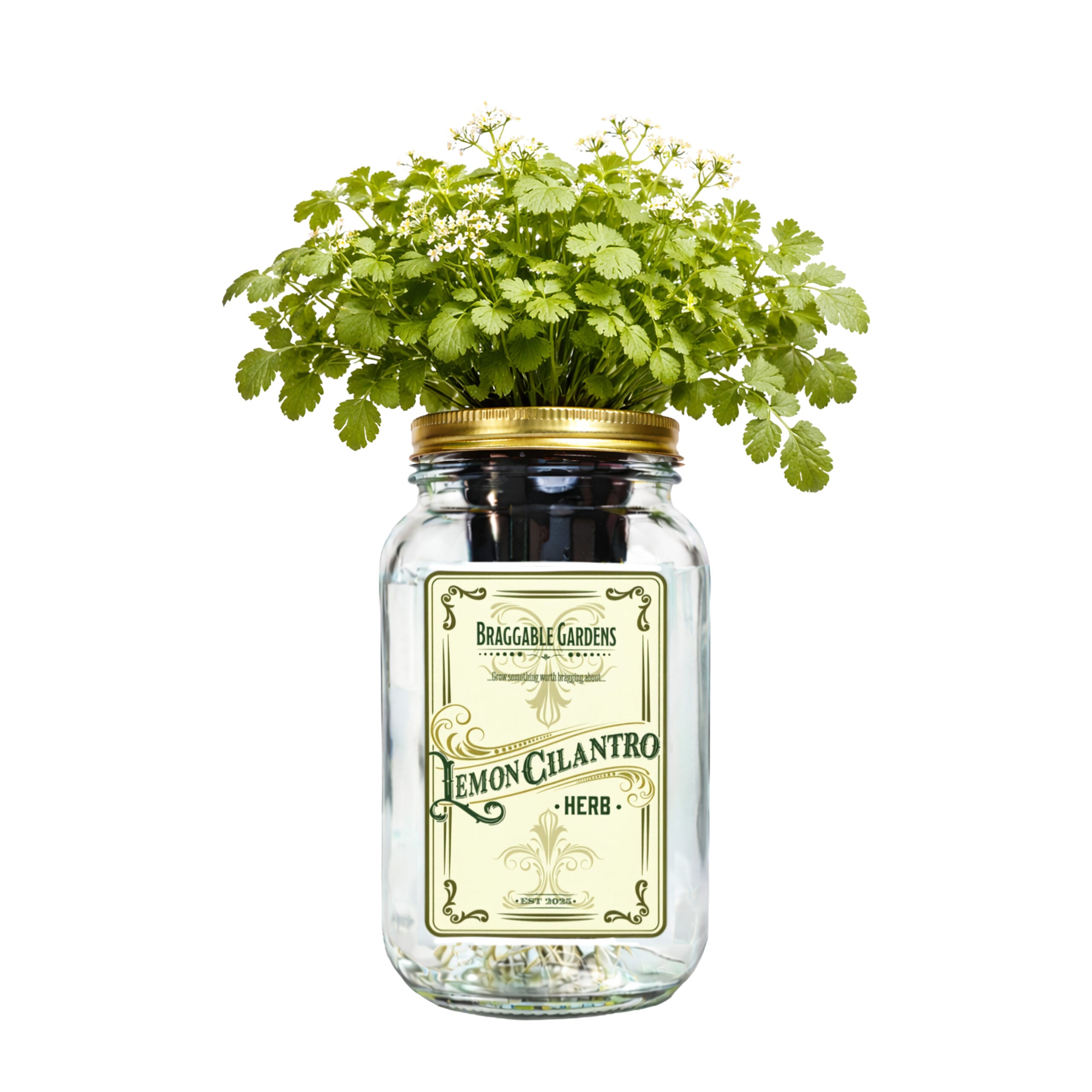 Lemon Cilantro Indoor Herb Garden Kit image 0