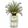 Tuscan Blue Rosemary Indoor Herb Garden Kit image 0