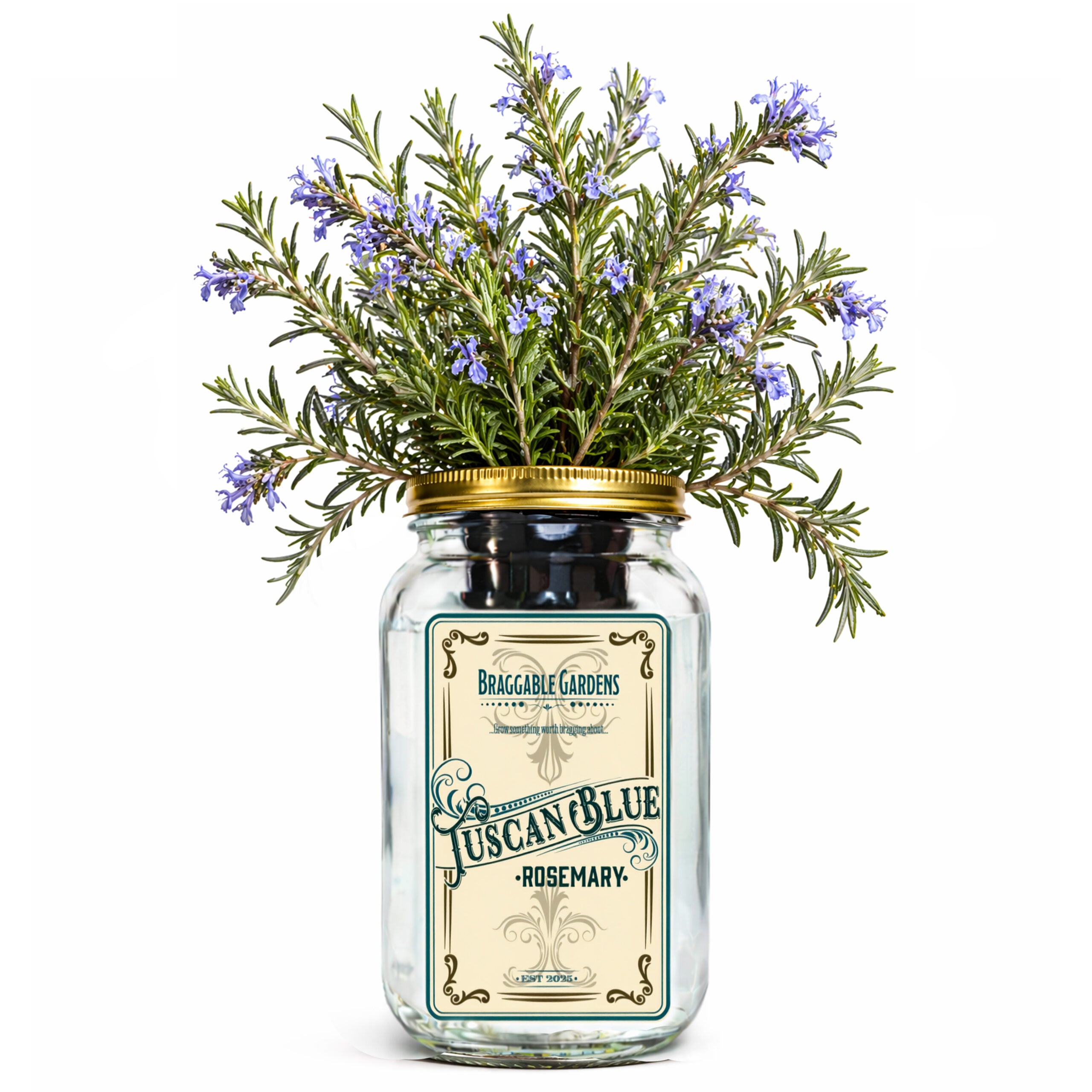 Tuscan Blue Rosemary Indoor Herb Garden Kit image 0