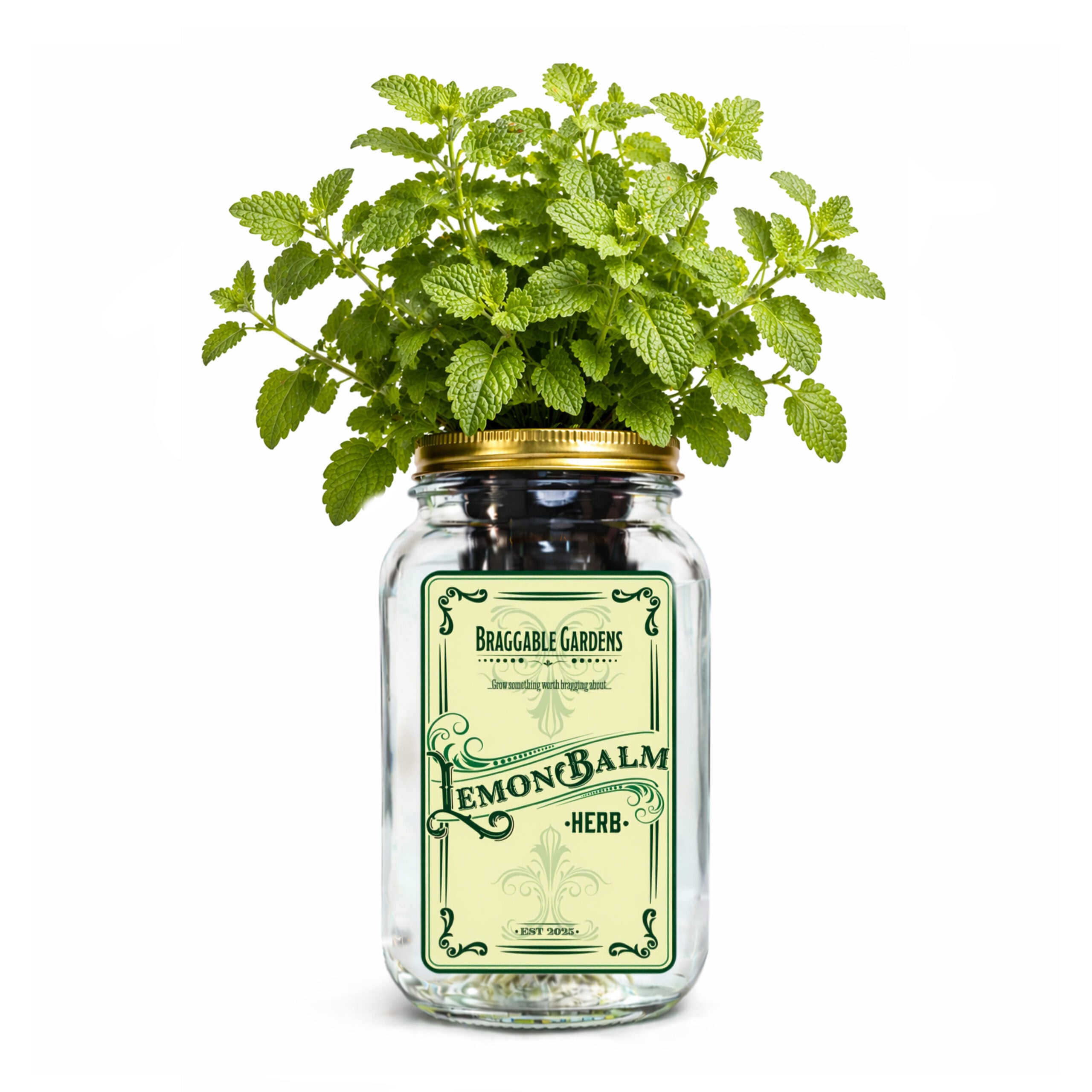 Lemon Balm Indoor Herb Garden Kit image 0