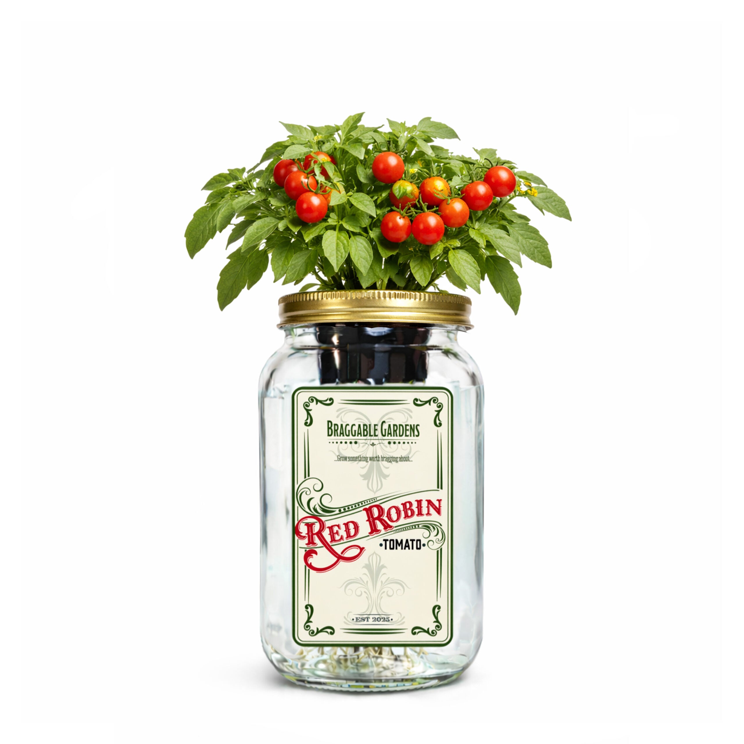 Red Robin Cherry Tomato Indoor Garden Kit image 0