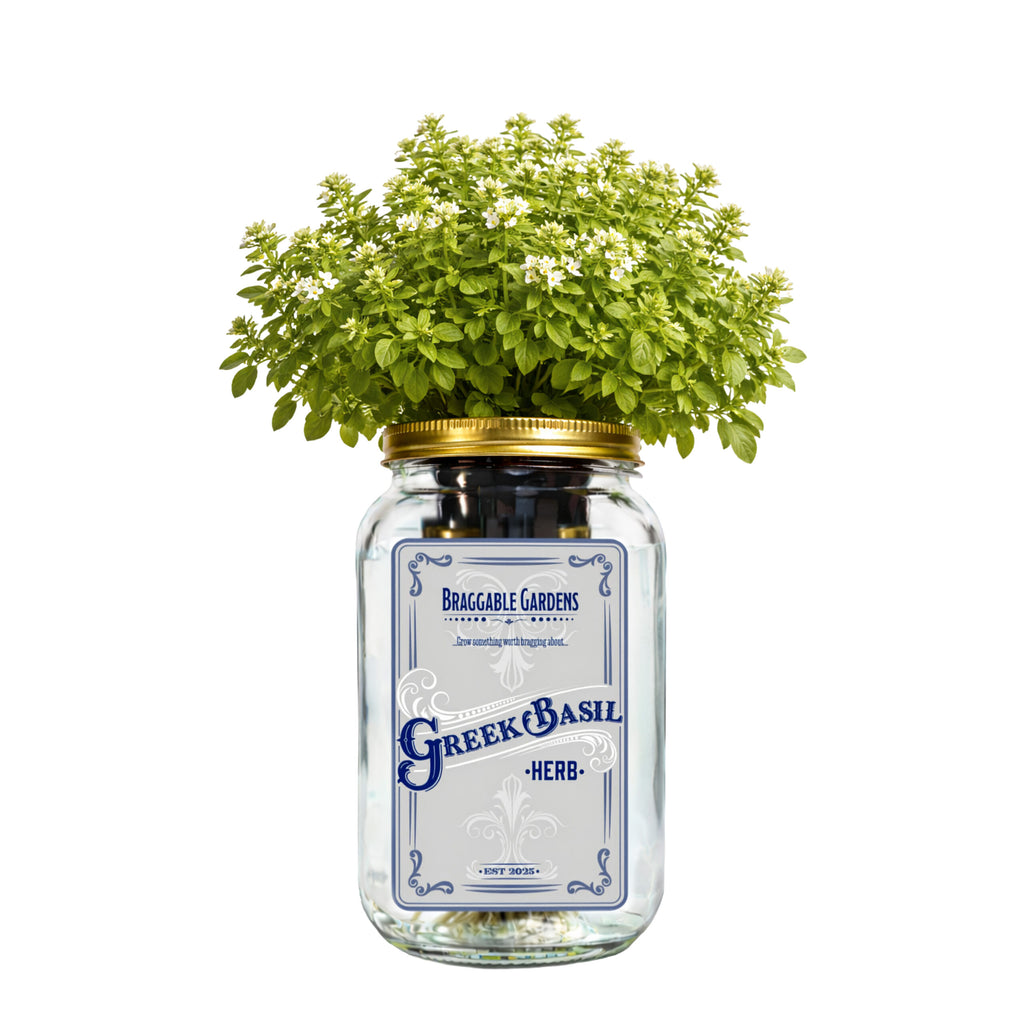 Greek Basil Indoor Herb Garden Kit image 0