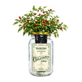 Chiltepin Pepper Indoor Garden Kit image 0