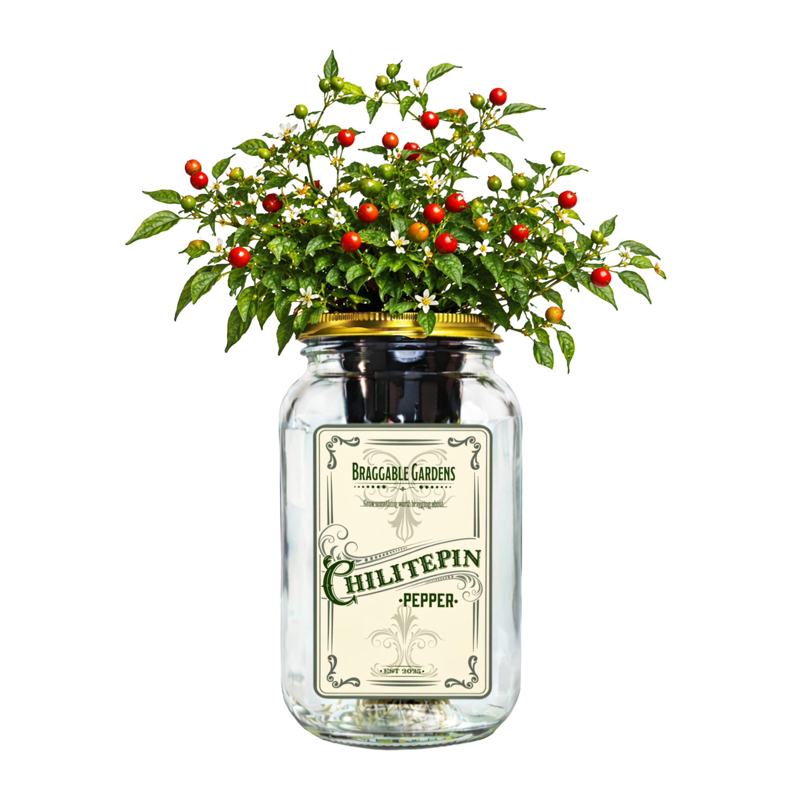 Chiltepin Pepper Indoor Garden Kit image 0