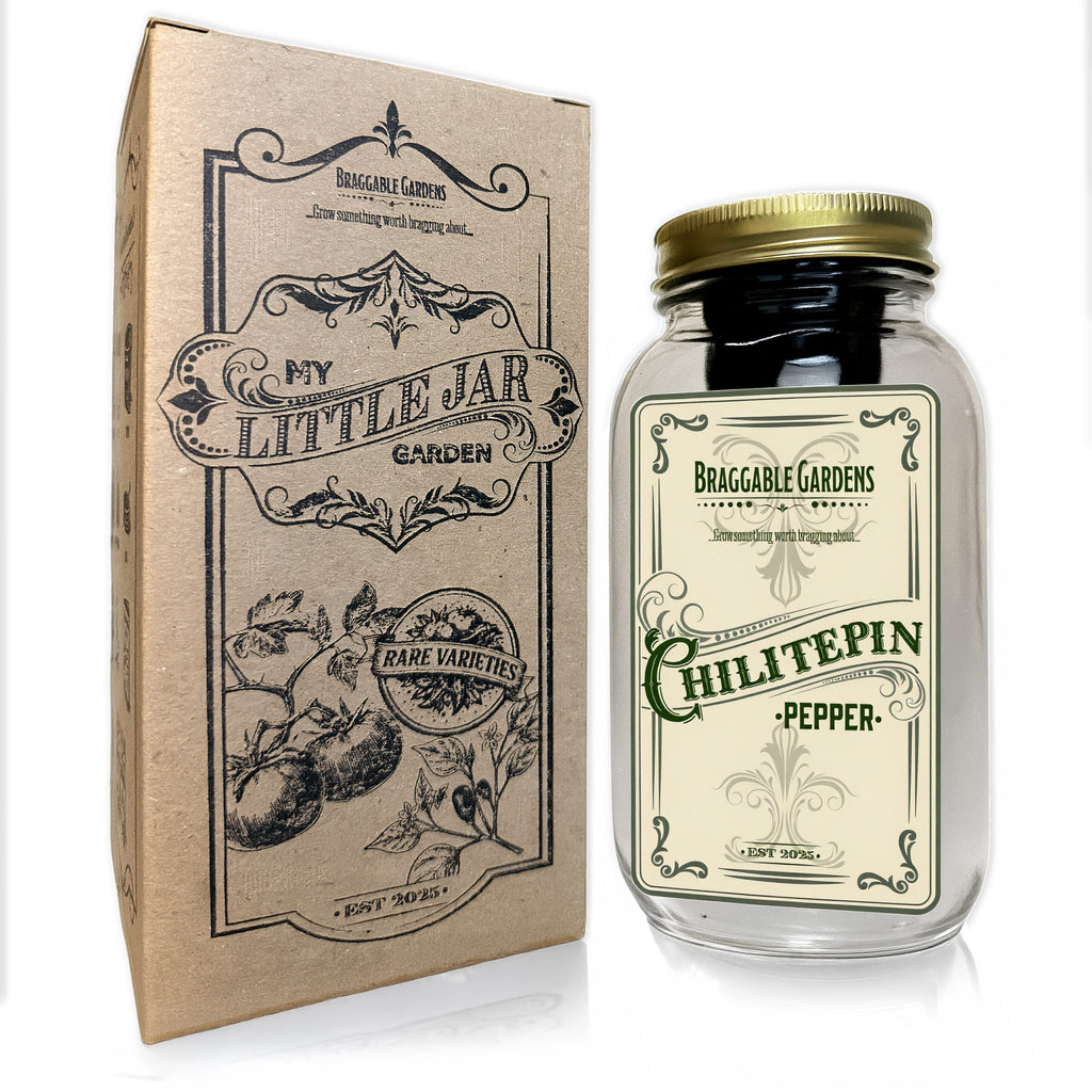 Chiltepin Pepper Indoor Garden Kit image 3