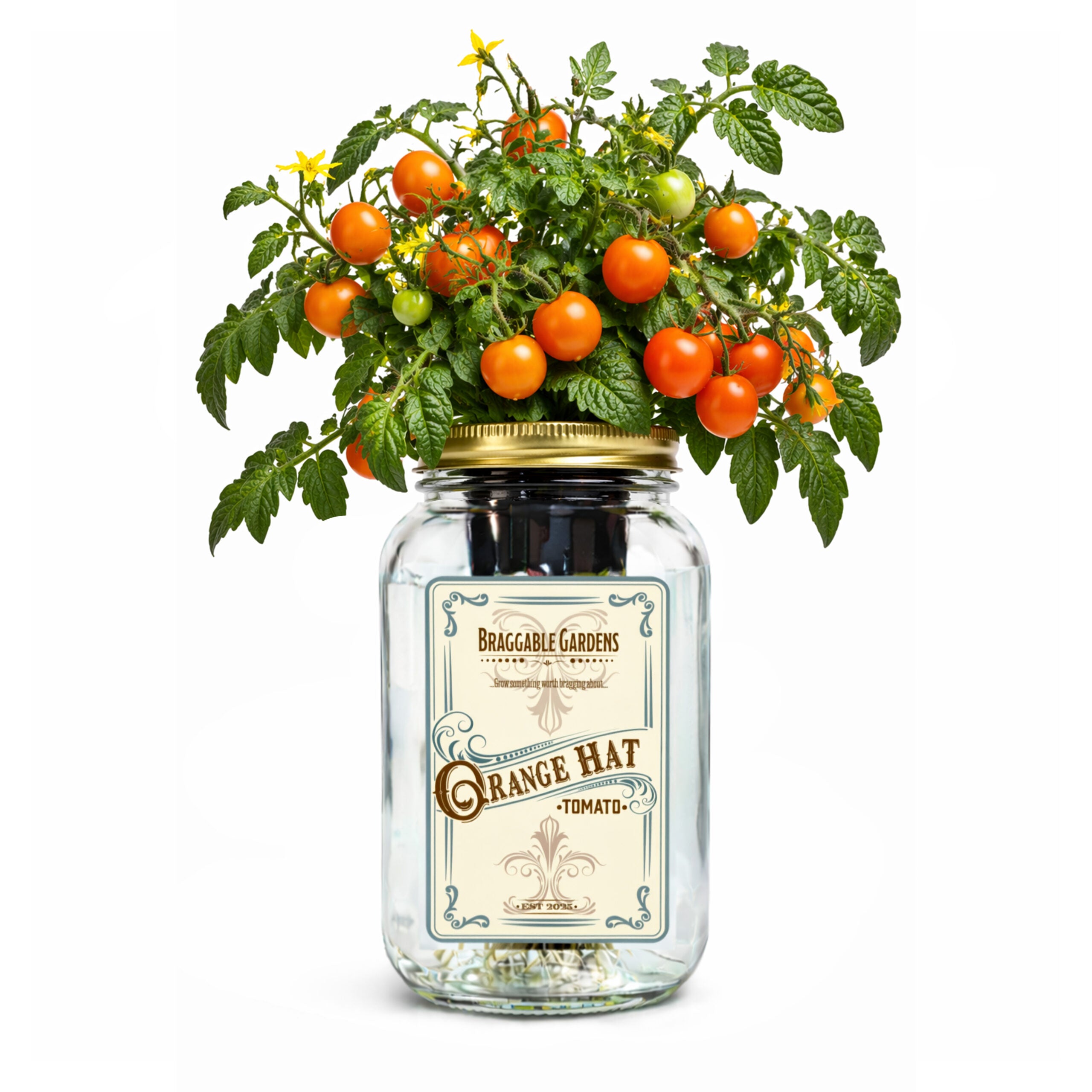 Orange Hat Micro Tomato Indoor Garden Kit image 0